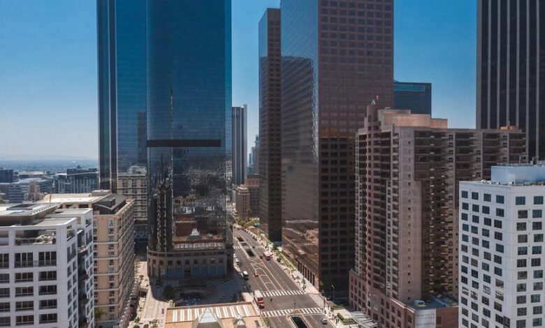 corporate expansion numerical data